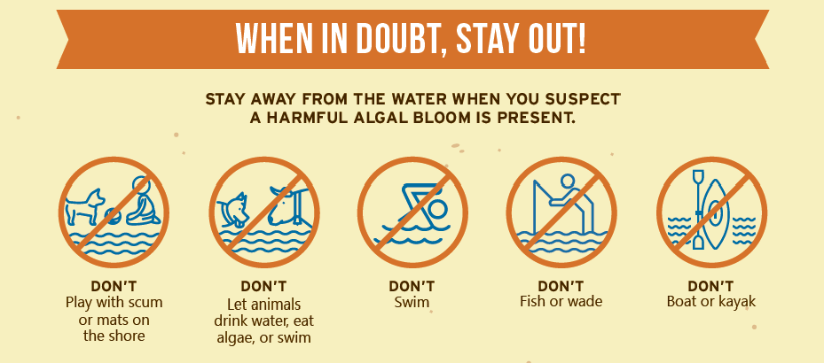 When in doubt, stay out - HABs EPA