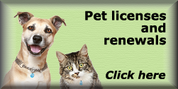 Online pet licensing
