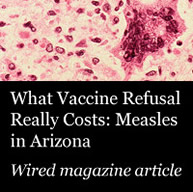 What Vaccine Refusal Really Costs: Measles in Arizona
