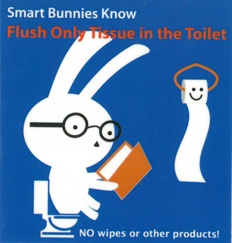Flush Bunny.jpg