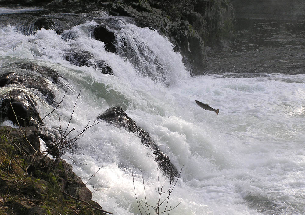 Lucia Falls