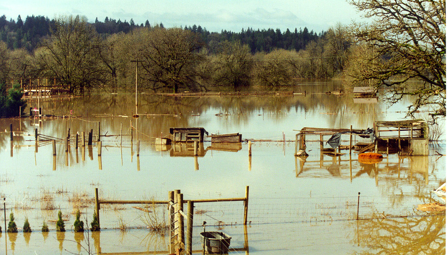 Flooding near La Center, February 1996