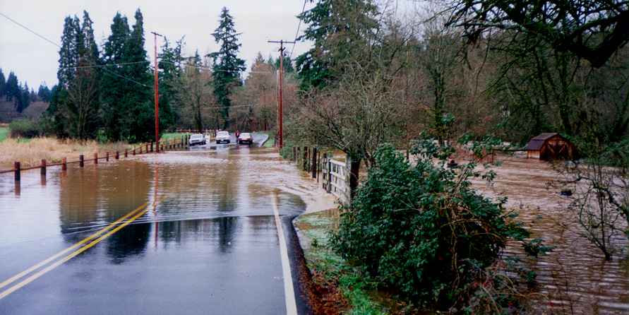 Near Salmon Creek, November 1995