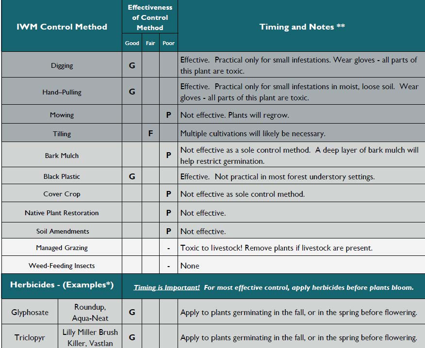 Chart for controlling poison hemlock
