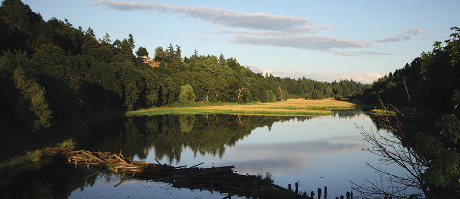 River scenery