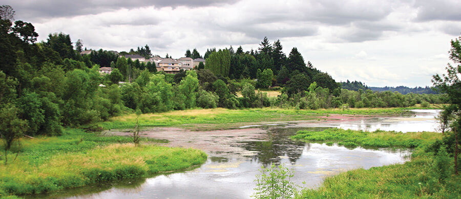 Salmon Creek