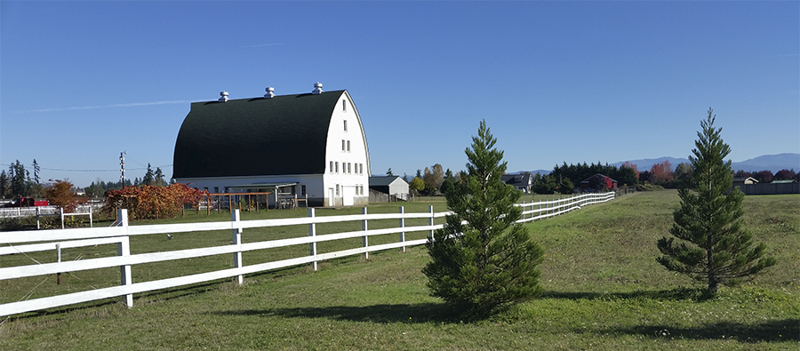 Meadowglade scenery photo