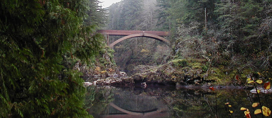 Moulton Falls Scenery Photo