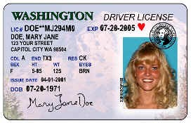 pic-driver-license_for_dws.jpg