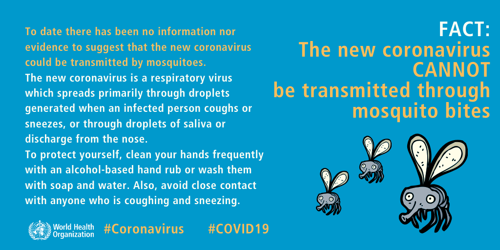 Mosquitoes do not spread coronavirus