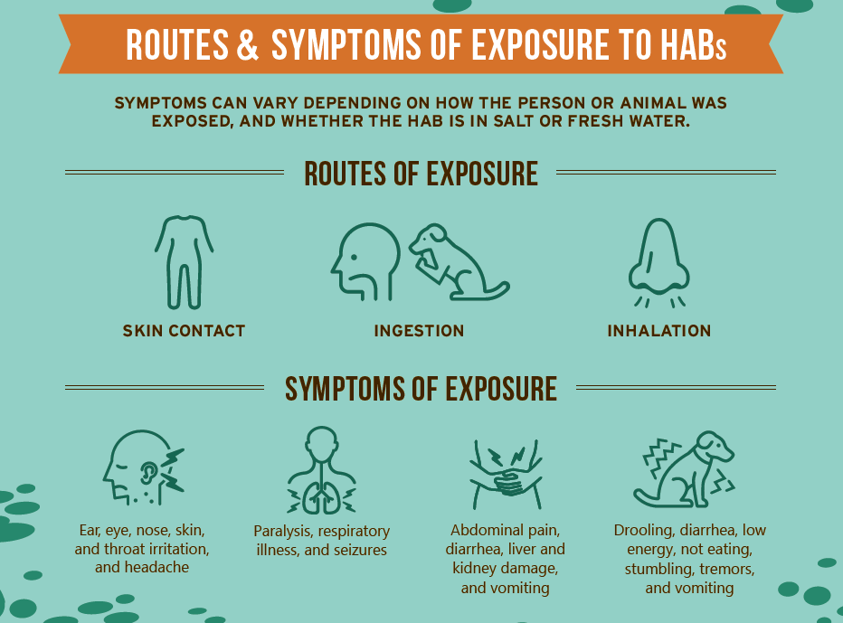 Route and symptoms of exposure to HABs - EPA