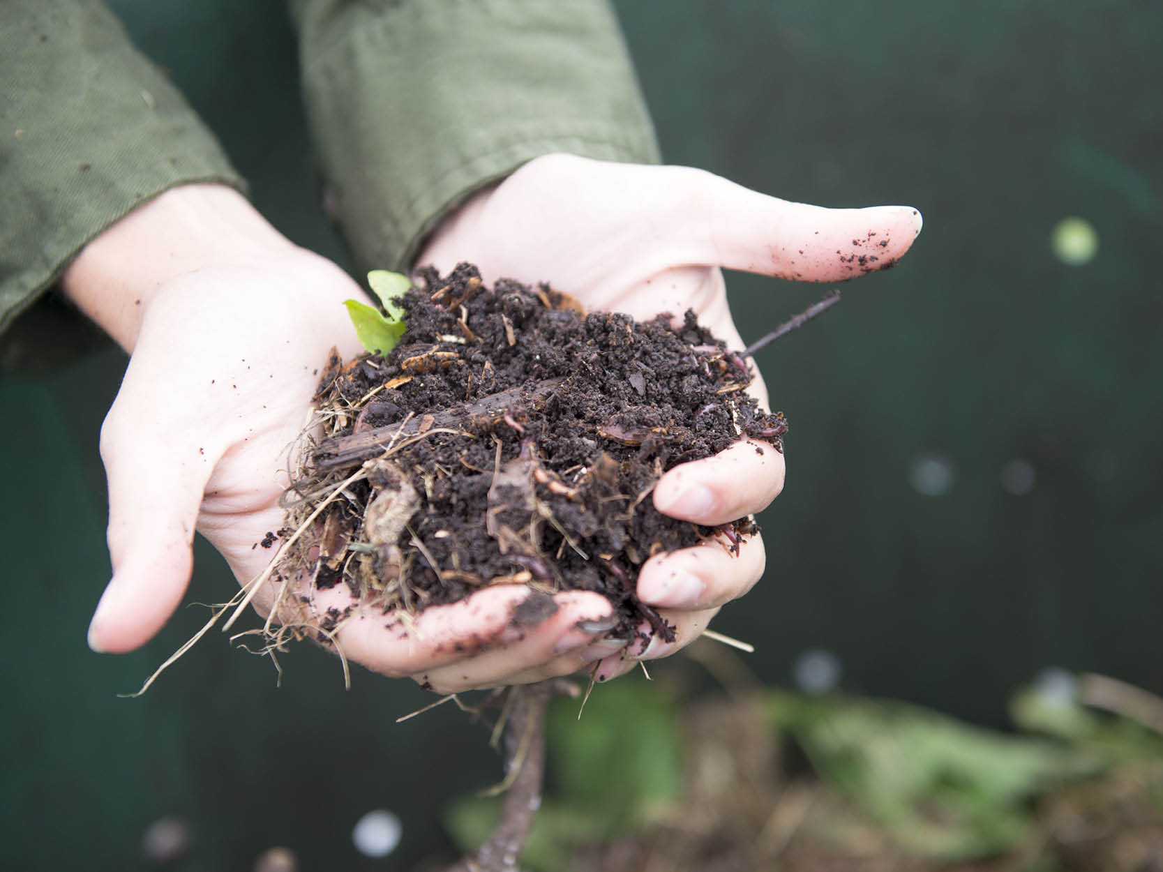hands holding fresh dirt over a compost bin