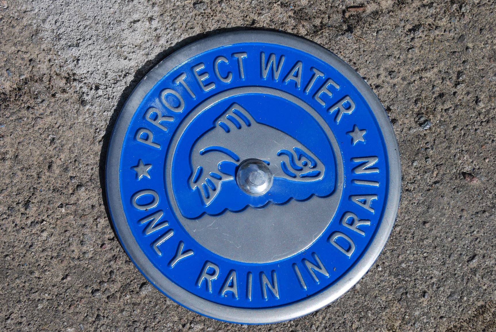 Photo of storm drain medallion stating protect water, only rain in drain