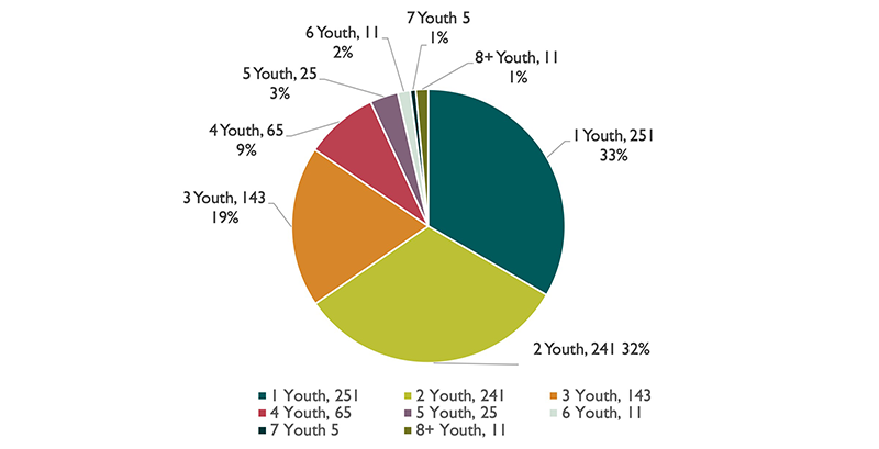 CNA Survey Demographics - children under 18