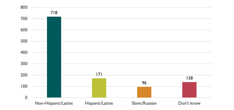 CNA Survey Demographics - ethnicity