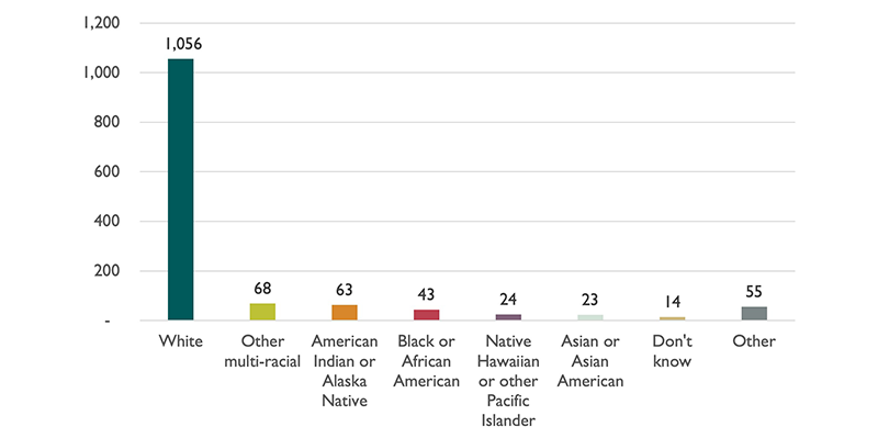 CNA Survey Demographics - Race