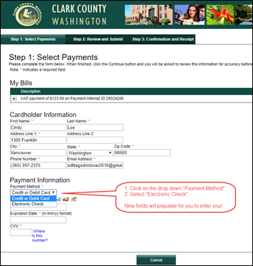 CC LMS Point and Pay select payment type
