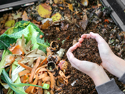 compost pile and a person with a handful of freshly composted soil 