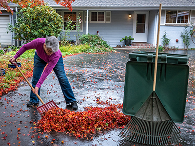 Mature woman raking leaves and disposing them into yard debris cart