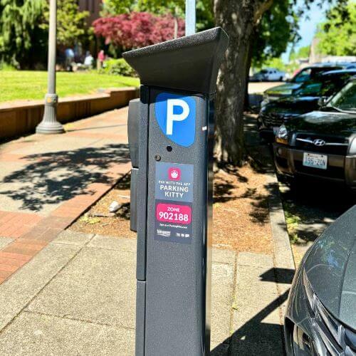 Juror Paid Metered Parking