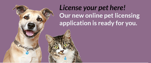 License your pet here. Online pet licensing is ready for you. 