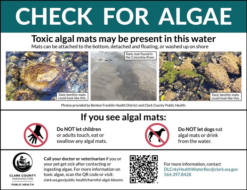 algal mats - check for algae