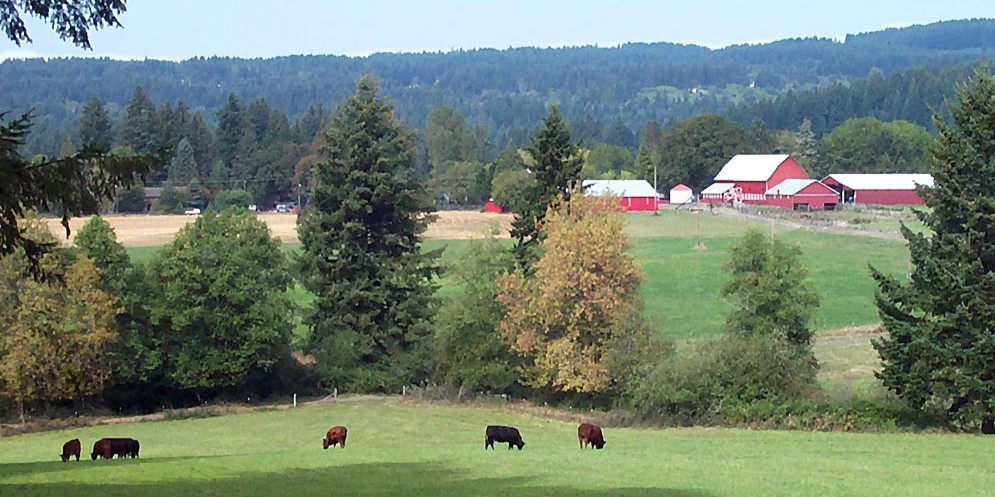 Scenic view of agricultural lands in county