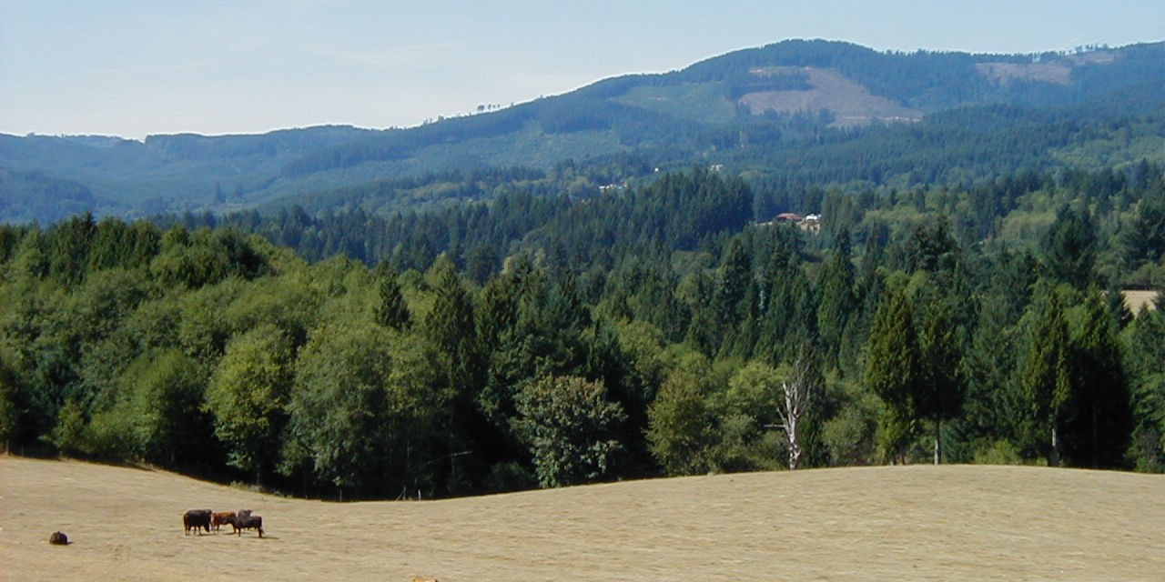 Scenic view of agricultural lands in county