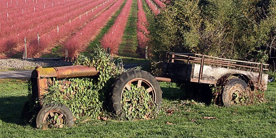 Scenic view of agricultural lands in county