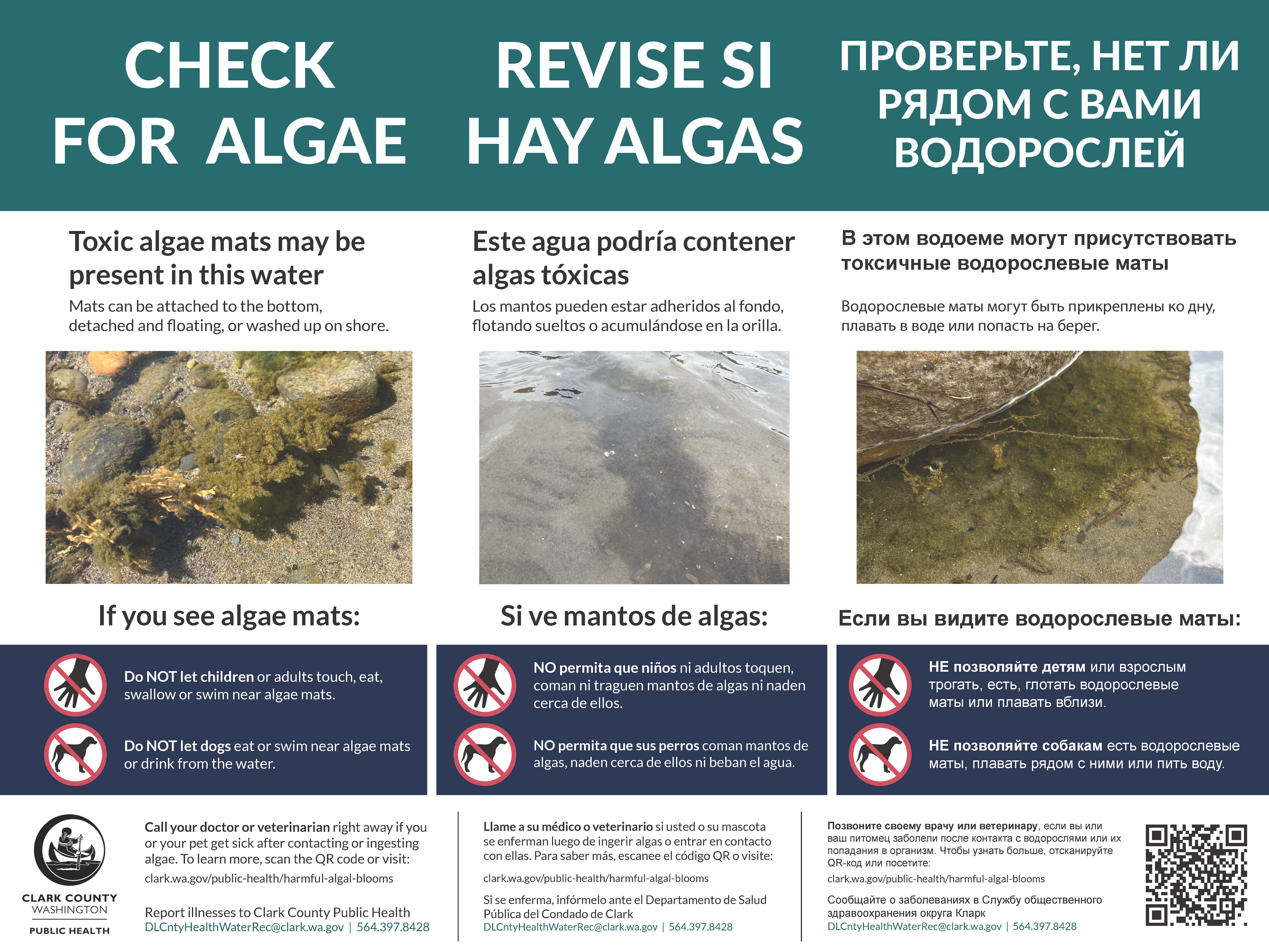 algal mats - check for algae