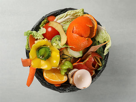 bucket of food scraps