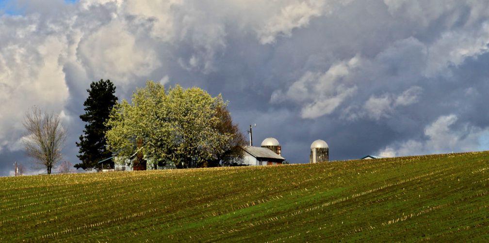 Agricultural lands in Clark County