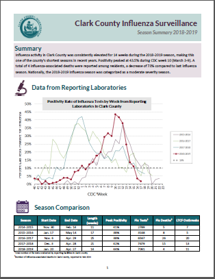 Image of influenza seasonal summary report