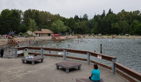 Klineline Pond, July 2018.