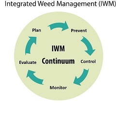 Integrated weed management graphic