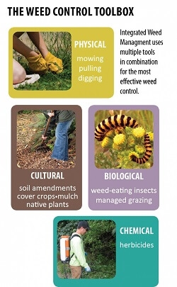 Weed control toolbox graphic.