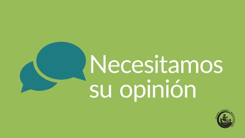 Charter Review Commission survey Spanish