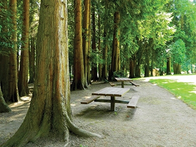 Hazel Dell Community Park