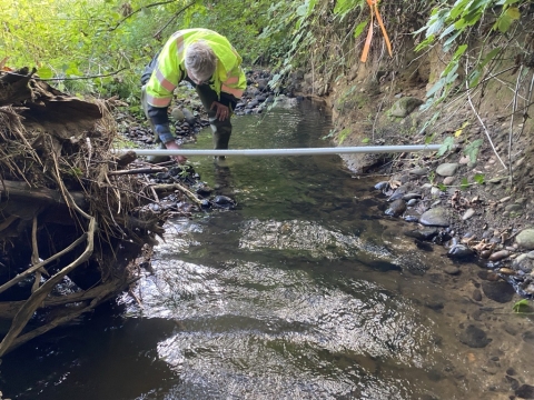 Bob Hutton Habitat Stream Health Report