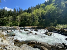 White water rapids swirl between and around grayish-brown rock in a valley covered with evergreens and leafed-out deciduous trees, on a sunny, blue-sky day.