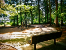 A playground is in dappled sunlight in a wooded area, with a bench in the foreground facing away from the viewer.