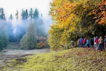 Group of people in winter clothes walking away from the camera, on a trail under trees with yellow, orange and green leaves. A grassy field is in the foreground and background. A forest stand in the background is shrouded in fog.