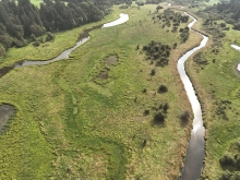 Aerial view of grassy floodplain. There are two creek channels: one that flows between the bottom and top of the right side of the image, and one that flows between the left side of the image and the top. There is a stand of evergreen trees on the top left and the top right corner. There are some sparsely dispersed shrubs closer to the right side channel. It's a sunny day and the sky is reflected off of the right side channel.