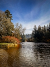 The East Fork Lewis River flows by a grassy bank and deciduous trees on the left and a rocky bank with evergreen trees on the right, under a blue sky with wispy clouds.