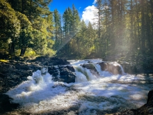 A large waterfall tumbles over large, grayish-brown rocks in a shady forest of evergreen trees on a blue-sky day with sunlight streaming through the trees.