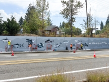Four people wearing florescent orange and yellow vests paint a retaining wall. The wall is gray with black, white and gray fish and the words, "we all live downstream". The volunteer on the far left is standing on scaffolding. There is scaffolding and tarps near each volunteer. A chain link fence, green vegetation and a brick home can be seen at the top of the wall. In front of the wall is a two-lane road with three traffic cones. It is a partially cloudy day.
