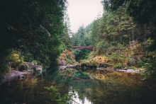 Calm river flowing through forested canyon, with a wood arch bridge in the distance. 